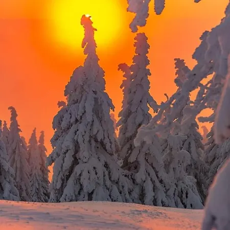 Apartman Izerski Taras- Gorski 120m2 *